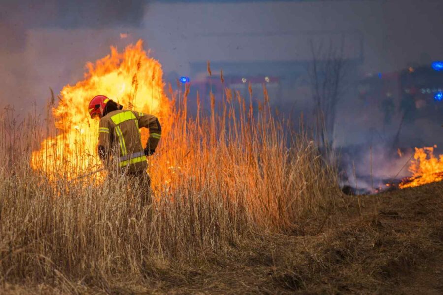 firefighter fighting fire