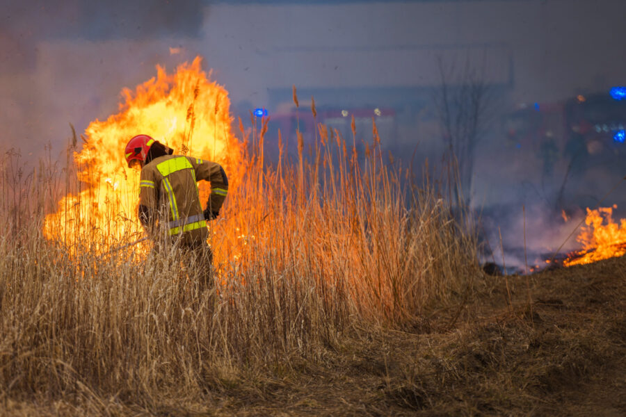 firefighter fighting fire